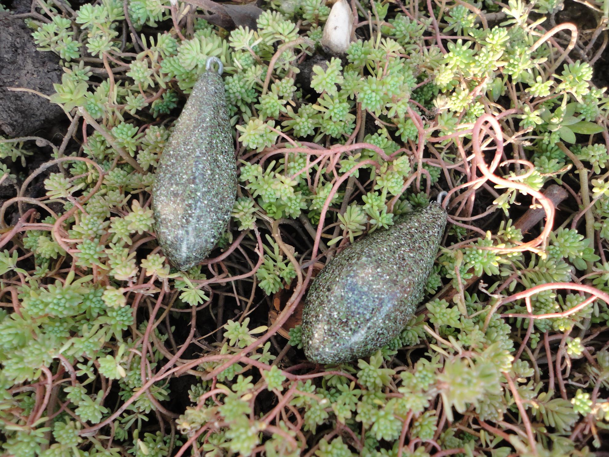 Fishing Leads - dsc03091.JPG